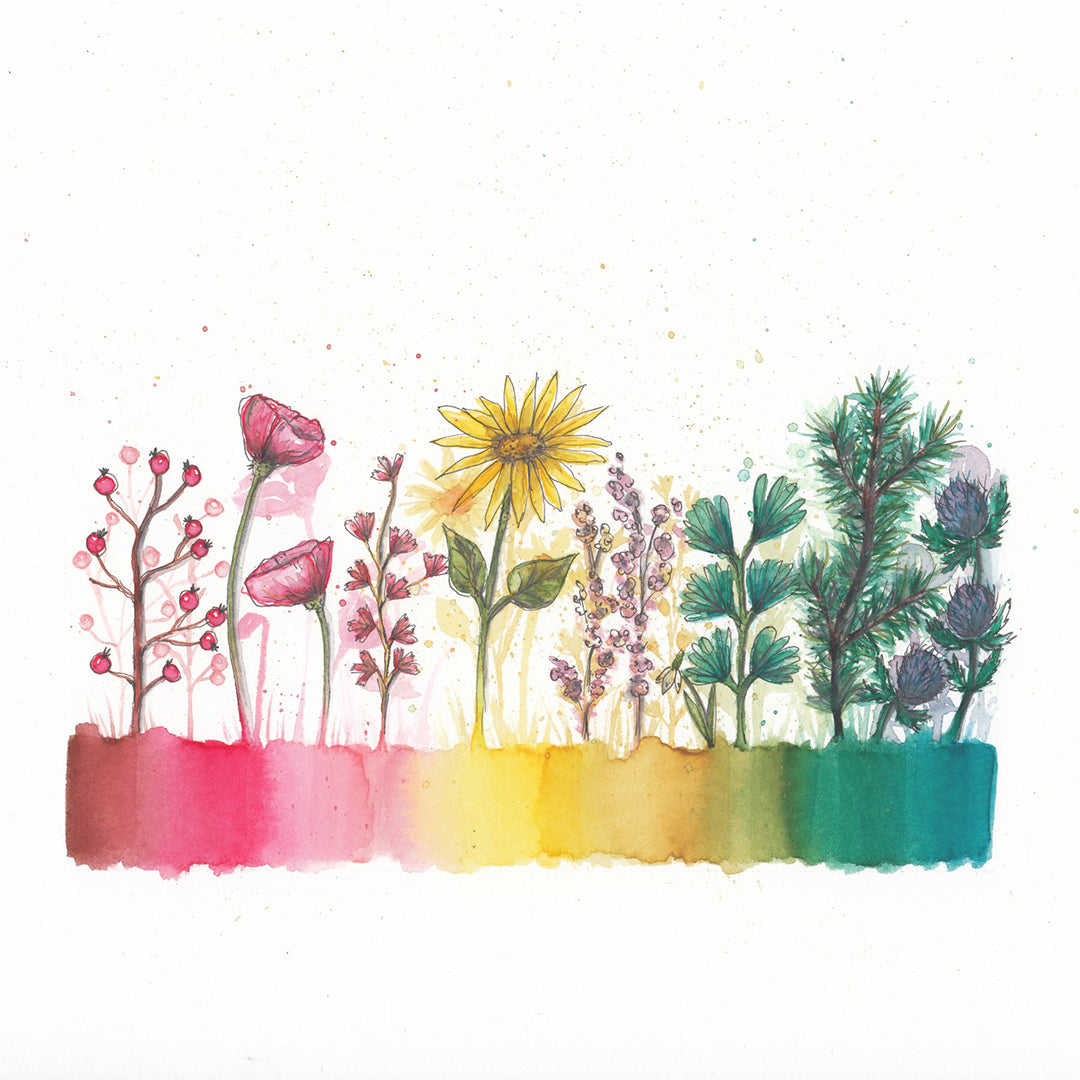 Watercolour Flowers: Guide To Painting Watercolour Flowers