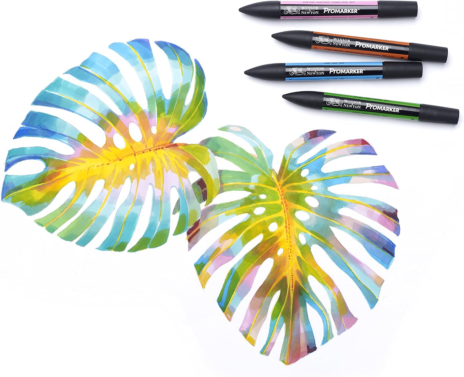 Choosing the Winsor & Newton Markers for You: A Comprehensive Guide