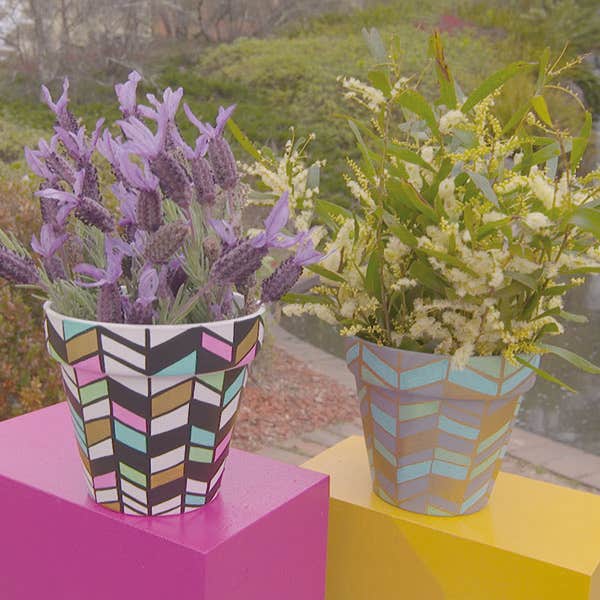 Mountain Pots