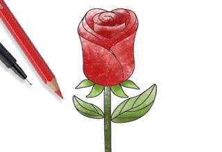 How To Draw a Rose - Easy Step By Step Guide for Kids