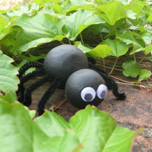 EDUcraft Incy Wincy Spider