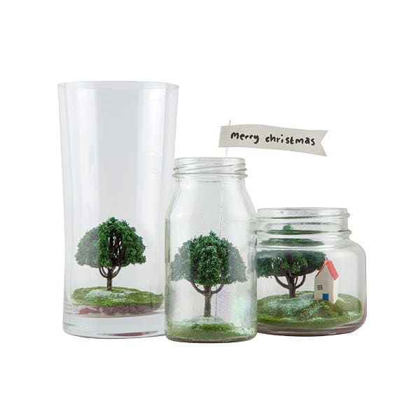 Terraniums
