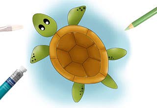 How To Draw a Turtle - Easy Step By Step Guide for Kids