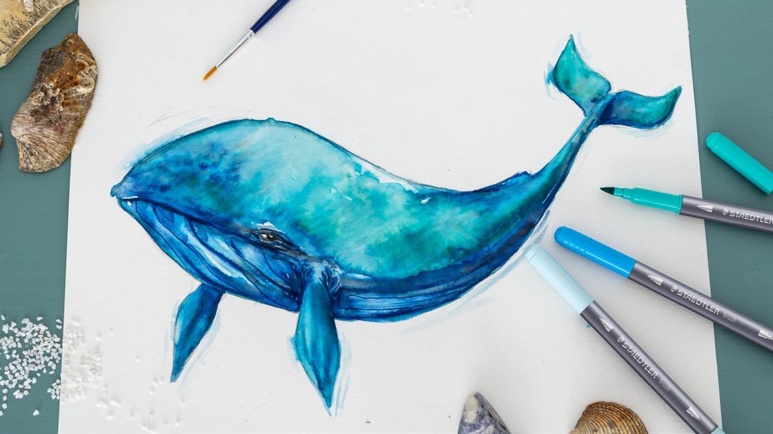 Watercolour Whale: How to Draw a Watercolour Whale