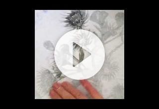 How to do an Acrylic Transfer