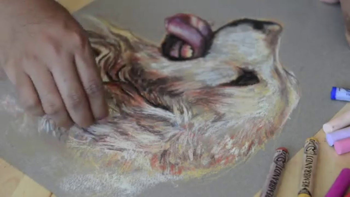 Antonio Valiente - Perrito Snupy - Pastel Rembrandt