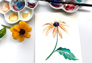 Winsor & Newton Botanical Watercolour Series: Black Eyed Susan