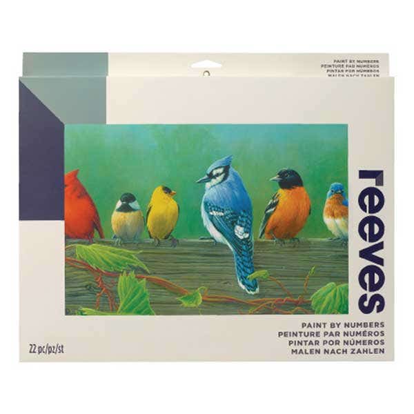 Reeves Artist Acrylic Paint by Numbers Rail Birds