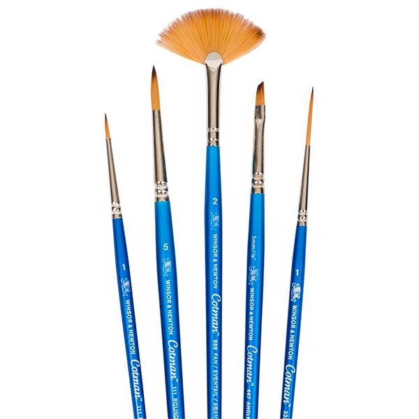 Winsor & Newton Cotman Brush Set 5