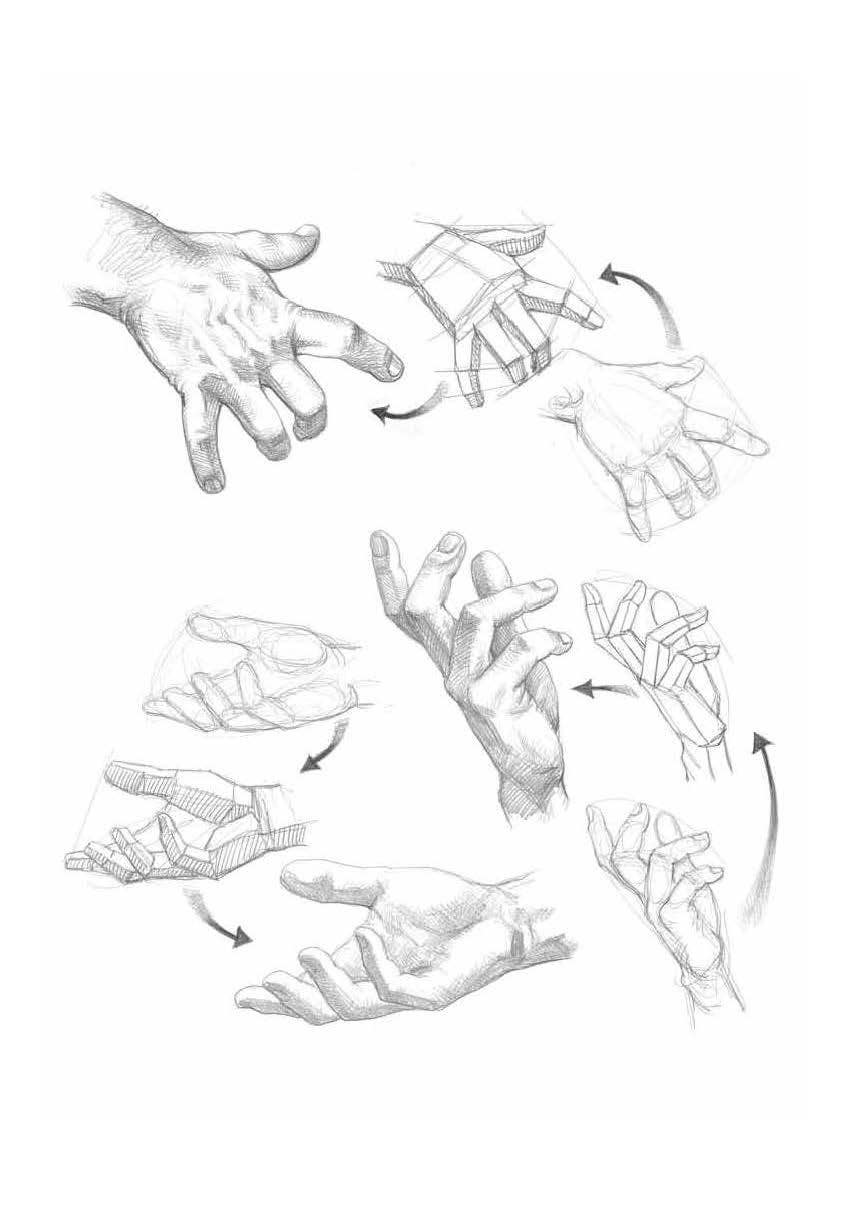 Drawing A Complete Guide Book