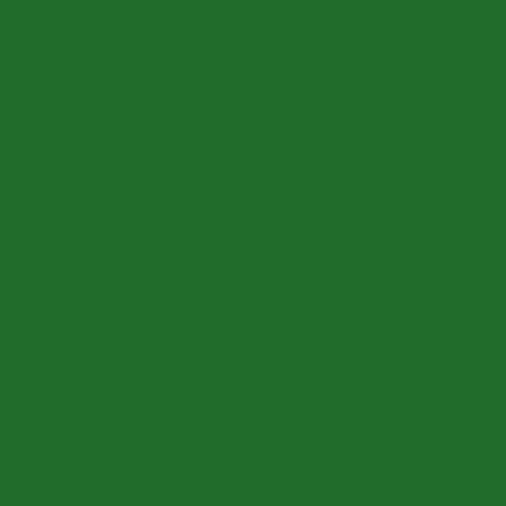 Liquitex Professional Soft Body Acrylic Paints 59ml