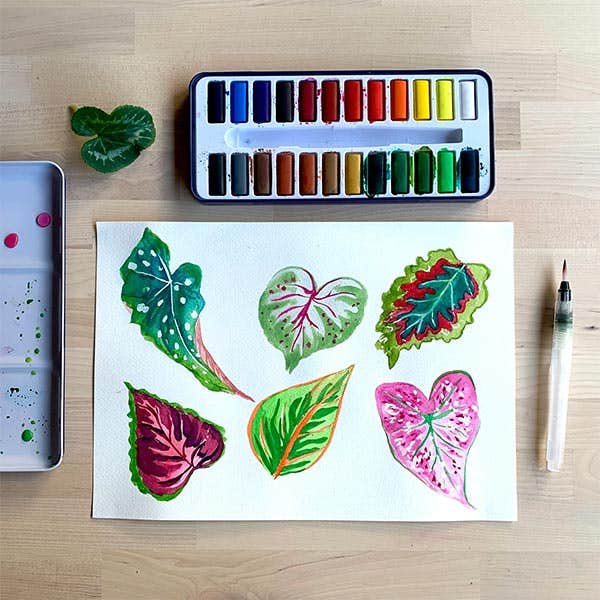 Reeves Watercolour Pan Tin Sets