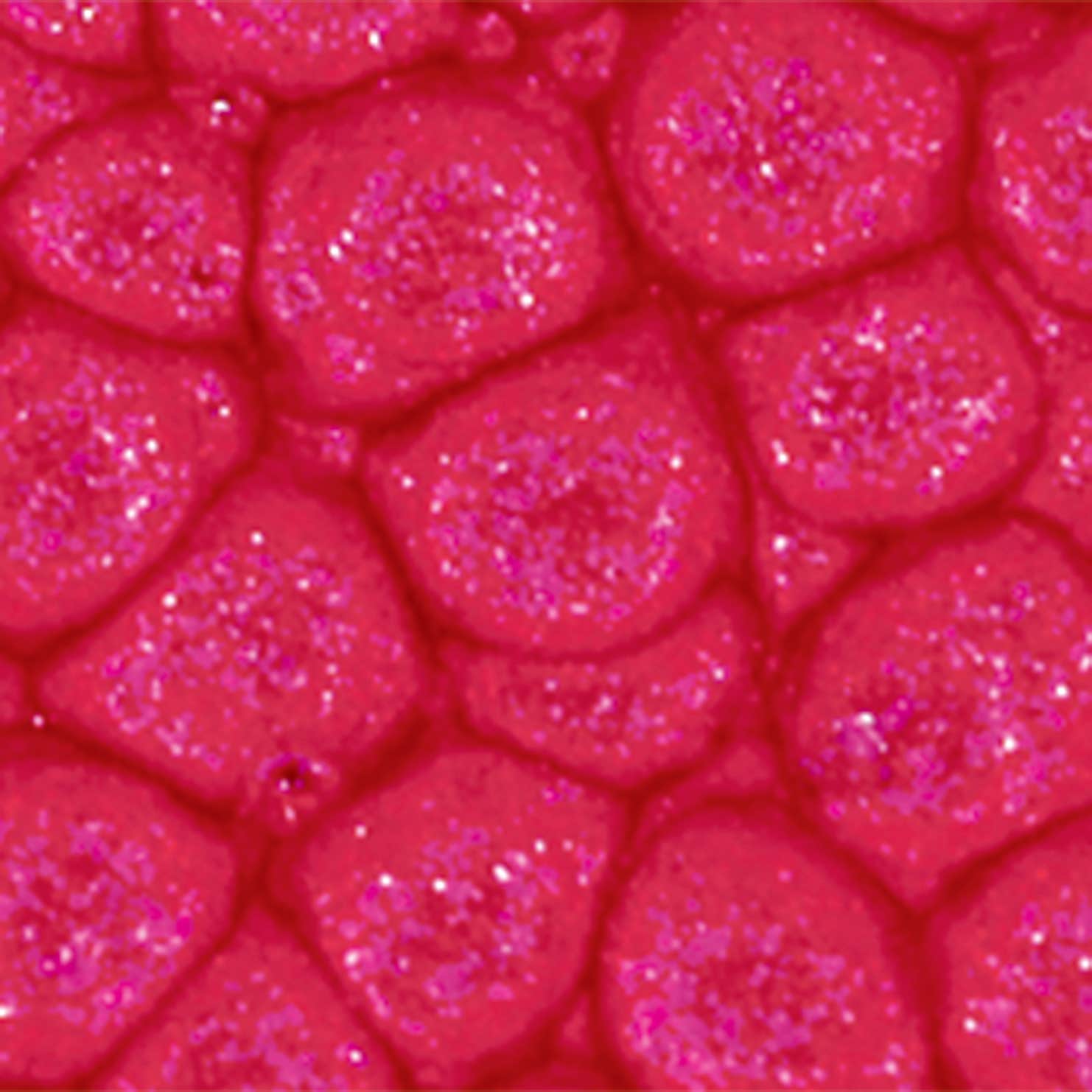 Pebeo Fantasy Prisme Effects Paints 45ml