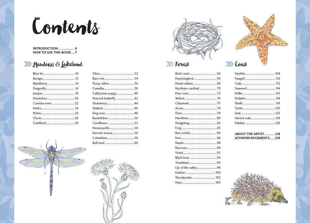 10 Step Drawing Nature Book