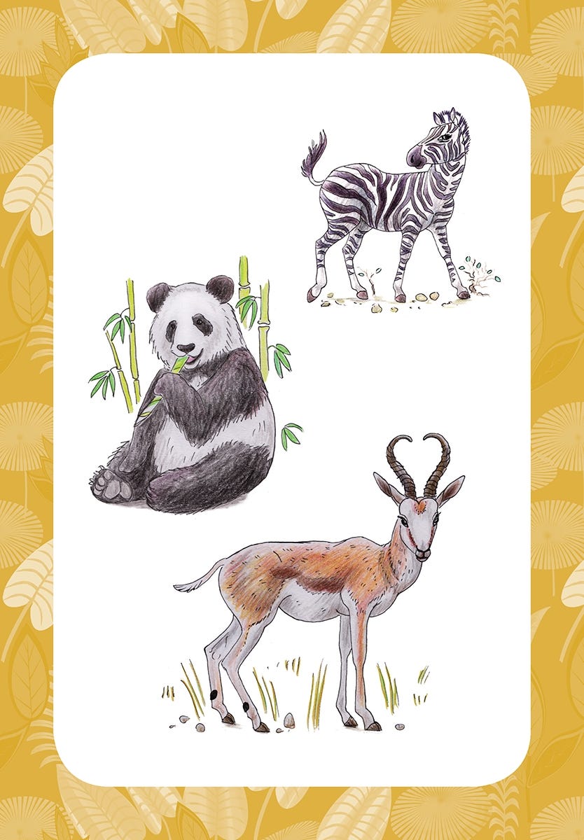 10 Step Drawing Animals Book