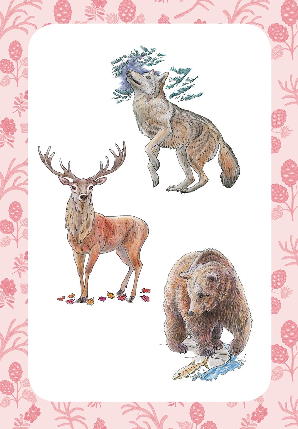 10 Step Drawing Animals Book