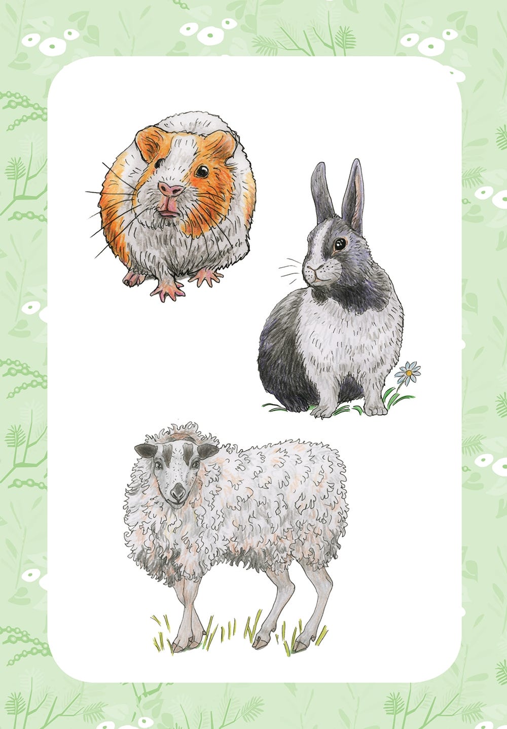 10 Step Drawing Animals Book