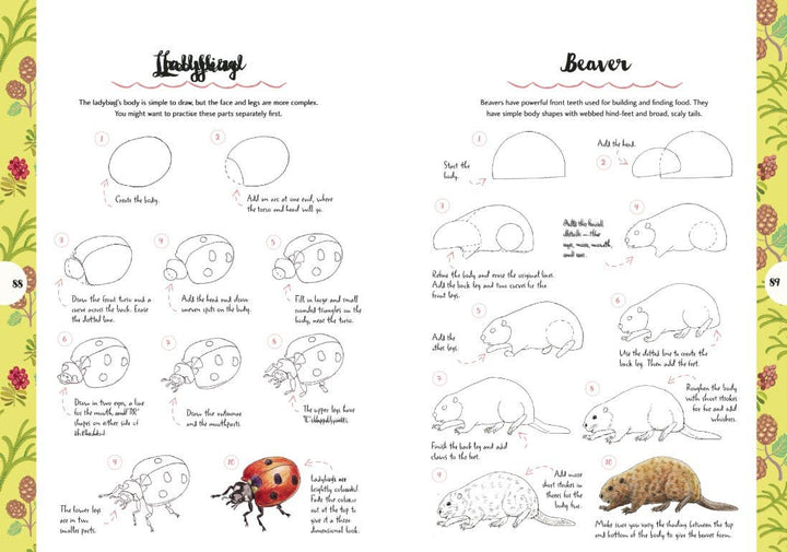10 Step Drawing Animals Book