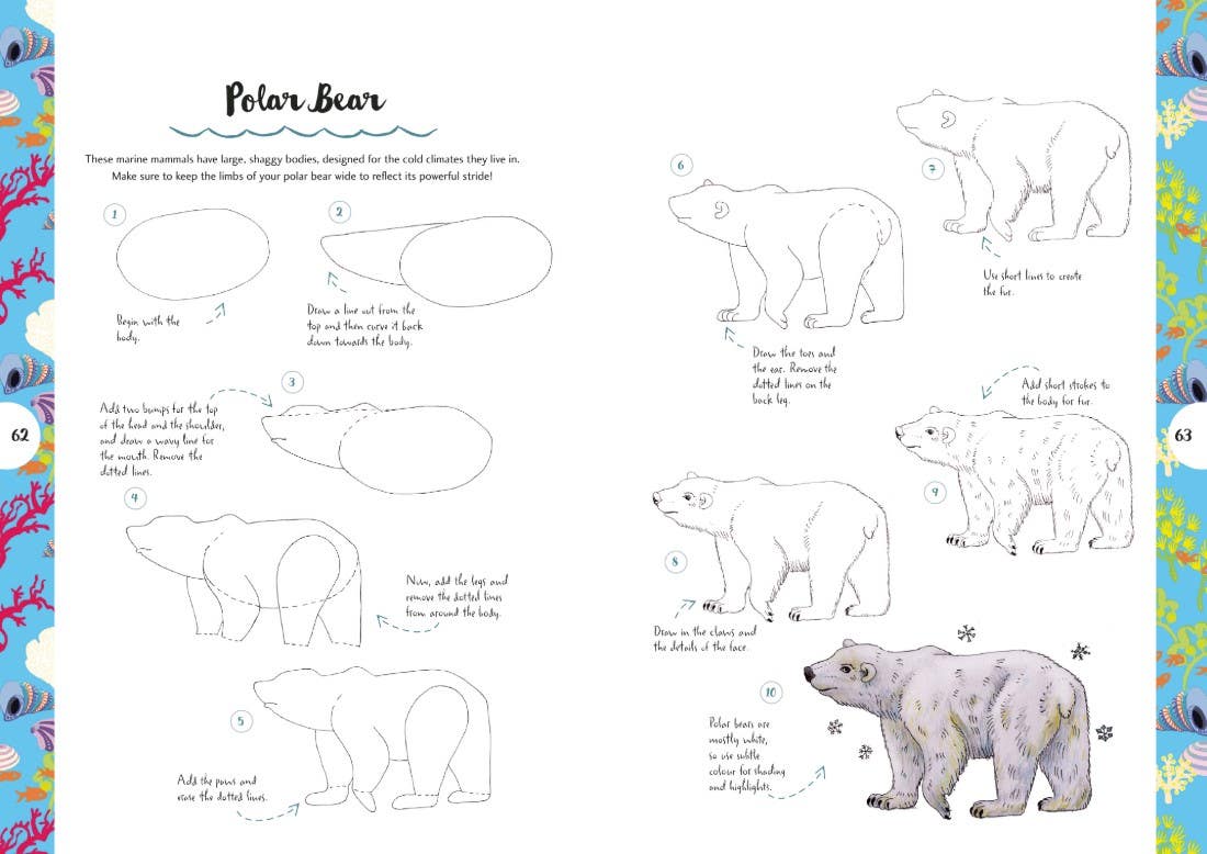 10 Step Drawing Animals Book