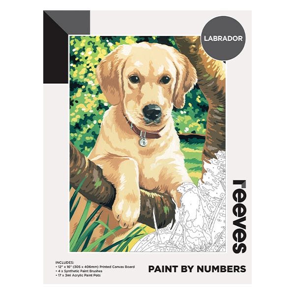 Reeves Artist Acrylic Paint by Numbers Labrador