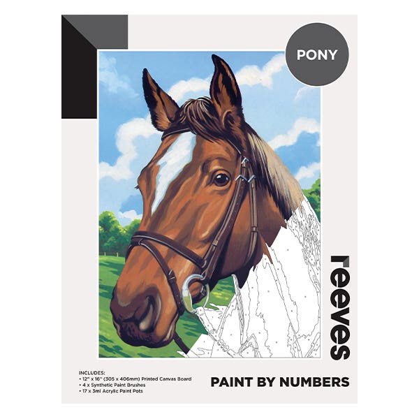Reeves Artist Acrylic Paint by Numbers Pony