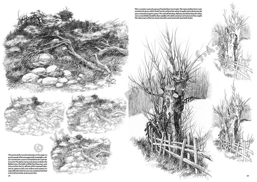 Leonardo Collection: 19 Landscapes Book