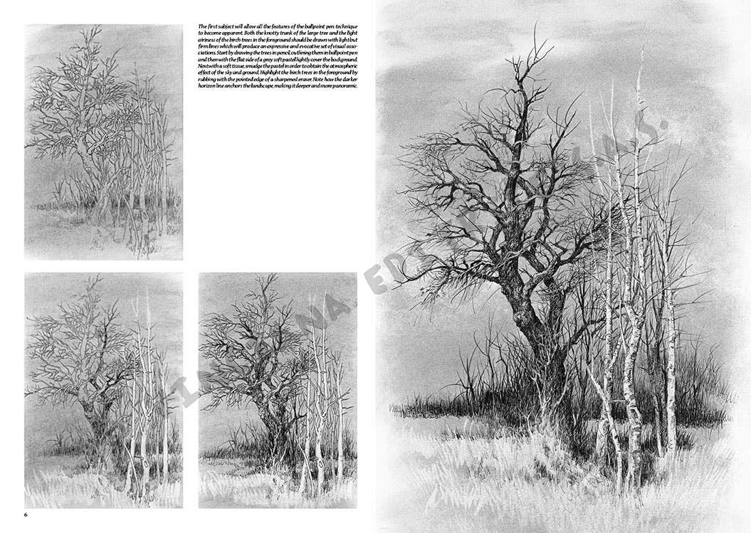 Leonardo Collection: 19 Landscapes Book
