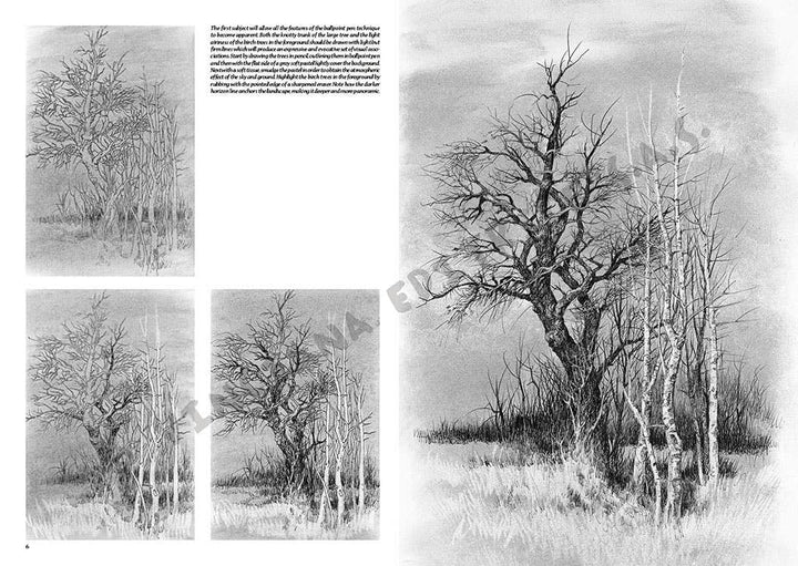 Leonardo Collection: 19 Landscapes Book