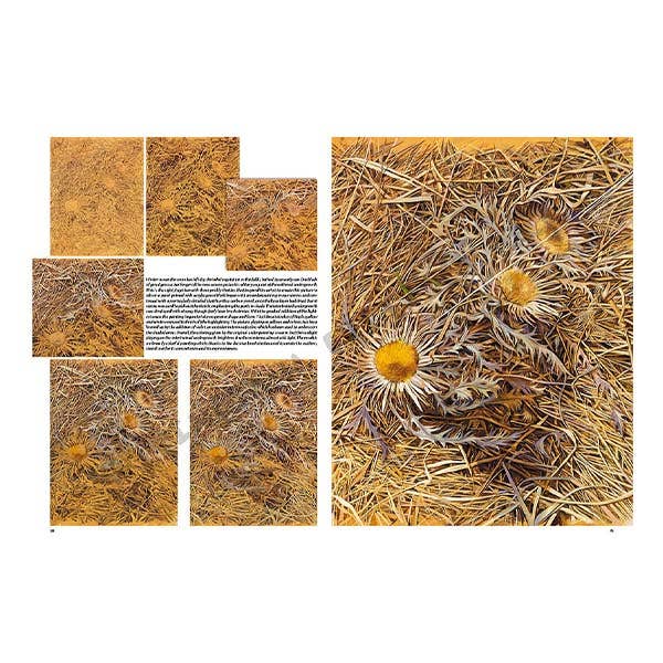 Leonardo Collection: 47 The Seasons Book