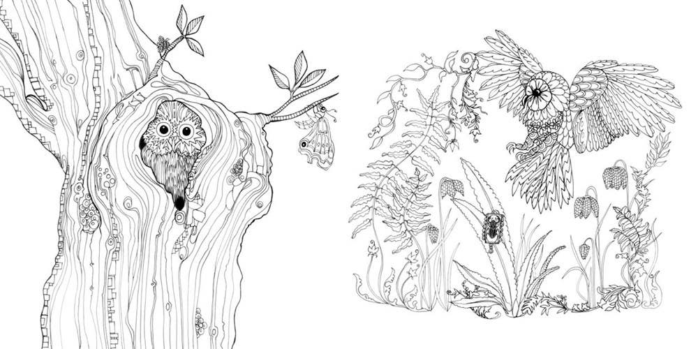 Tangle Wood A Captivating Colouring Book with Hidden Jewel