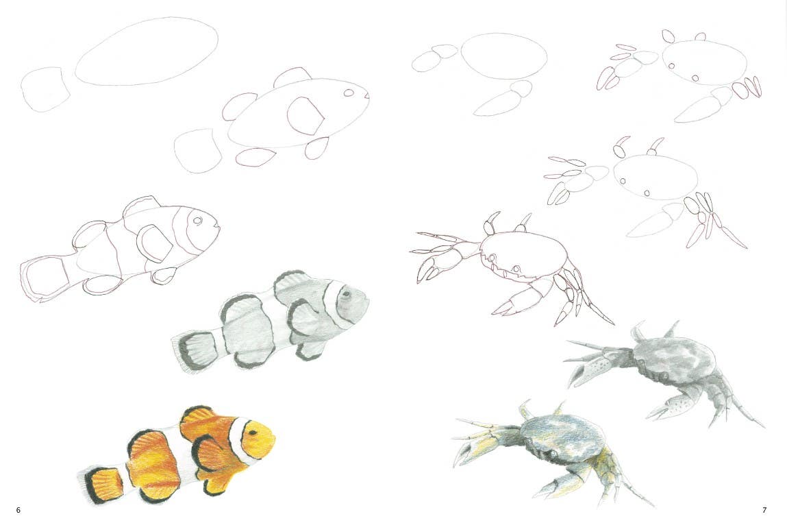 How To Draw Sea Creatures In Simple Steps Book