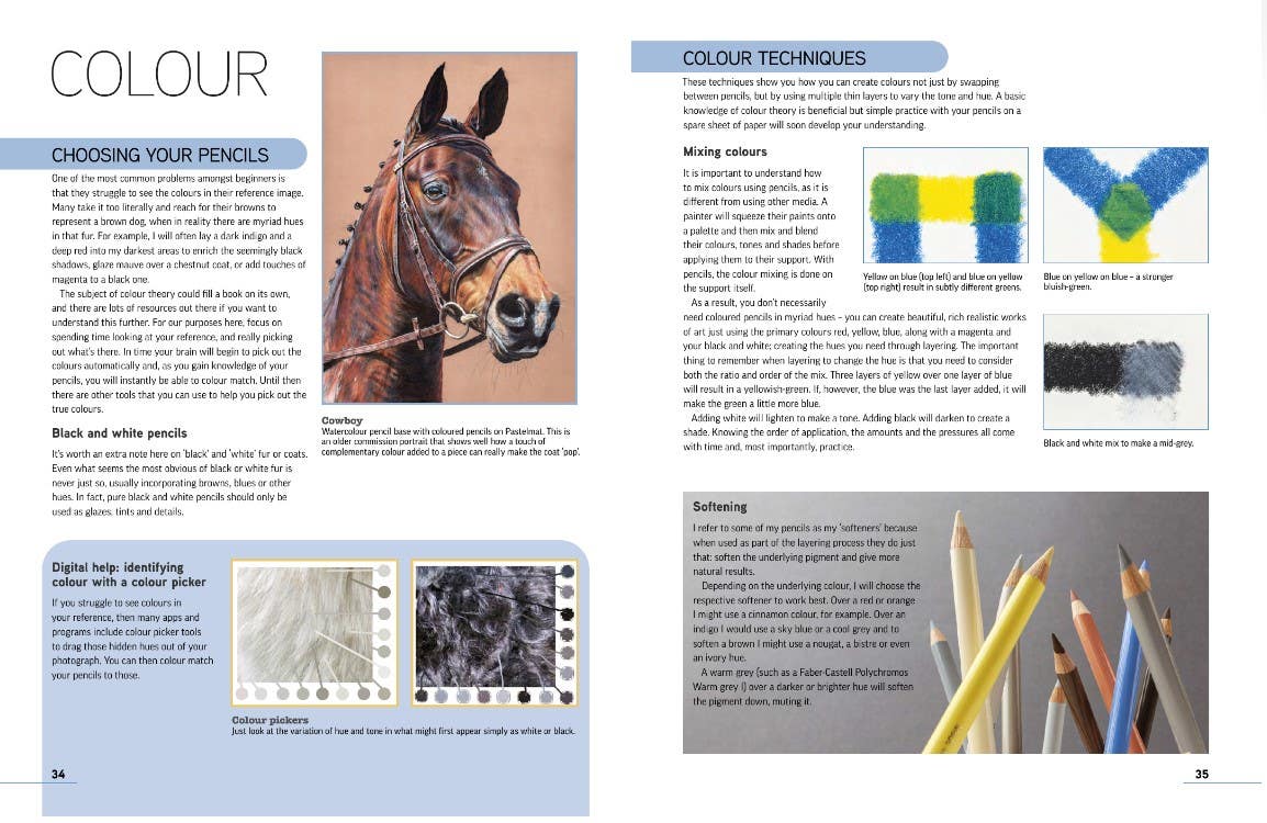 Drawing Animal Portraits In Coloured Pencil Book