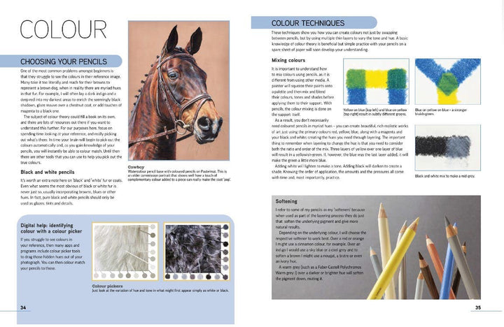 Drawing Animal Portraits In Coloured Pencil Book