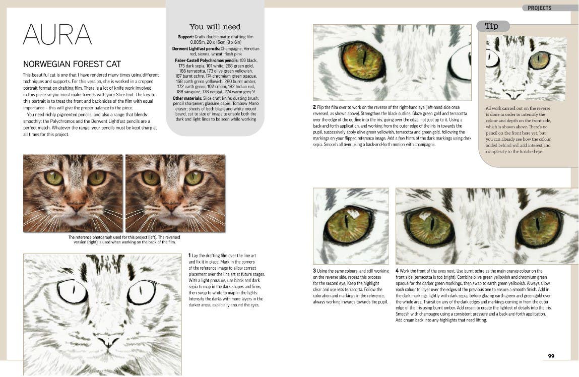 Drawing Animal Portraits In Coloured Pencil Book