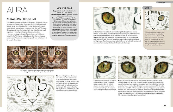 Drawing Animal Portraits In Coloured Pencil Book