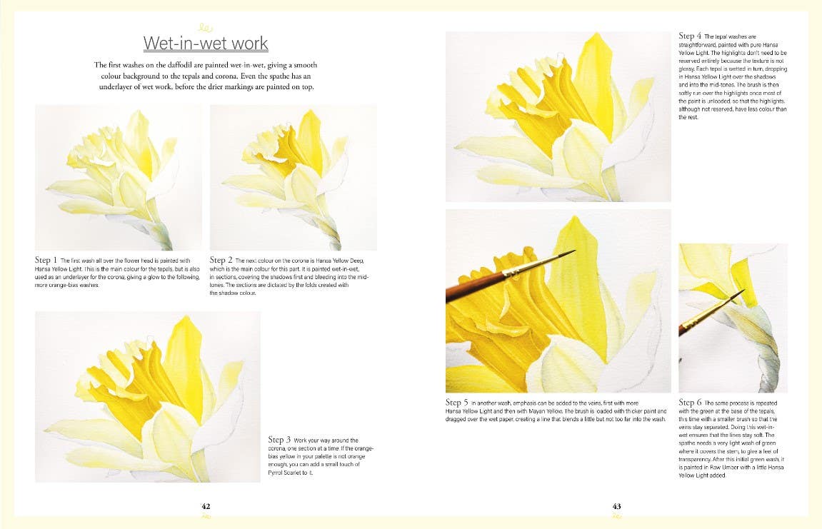 Botanical Watercolours Through The Seasons Book