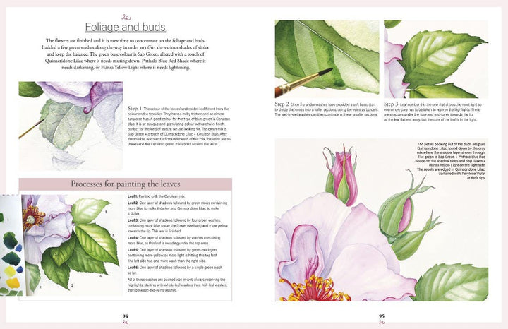 Botanical Watercolours Through The Seasons Book