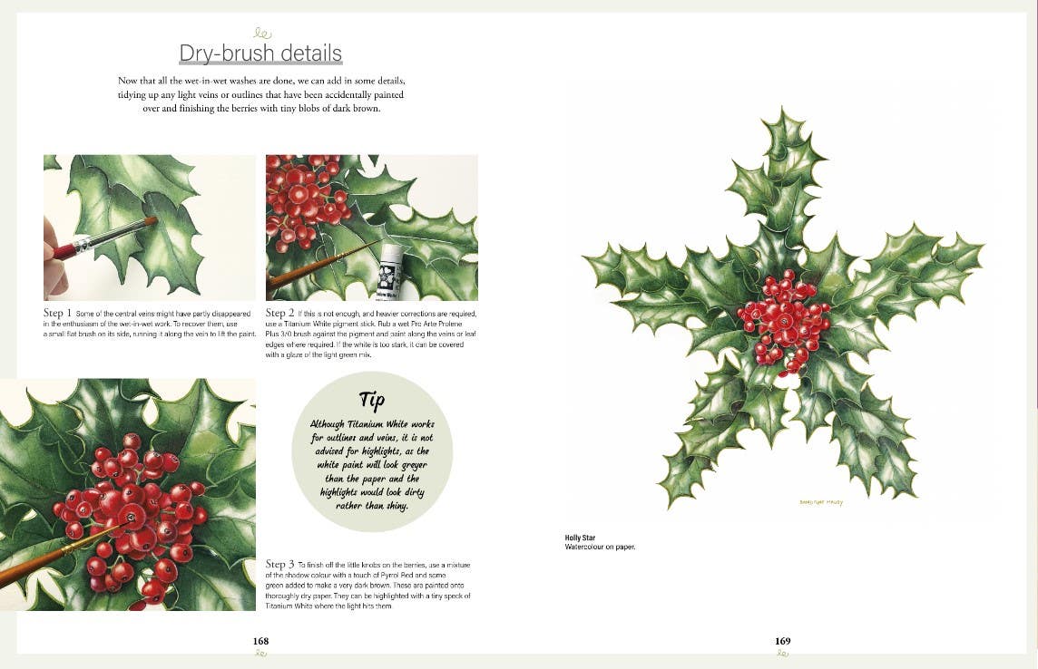 Botanical Watercolours Through The Seasons Book