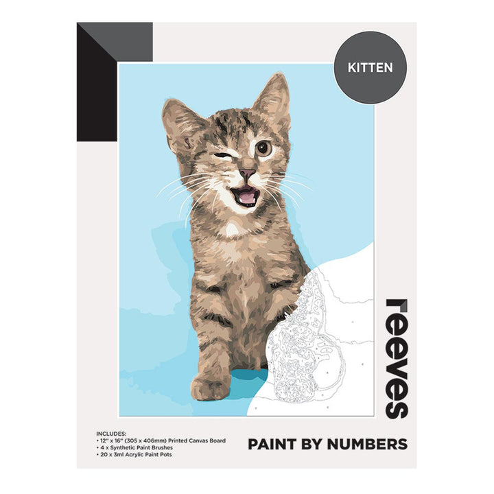 Reeves Artist Acrylic Paint by Numbers Kitten