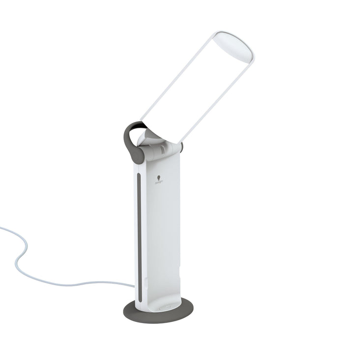 Daylight Twist 2 Table Lamp