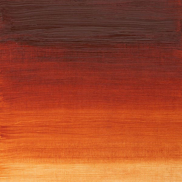 Winsor & Newton Winton Oil Paints 37ml