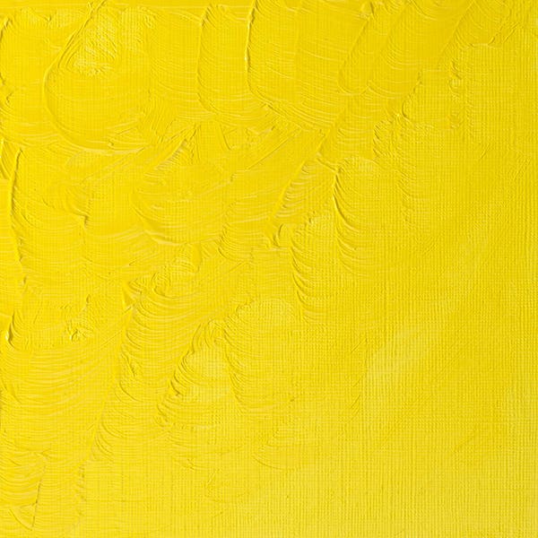 Winsor & Newton Winton Oil Paints 37ml