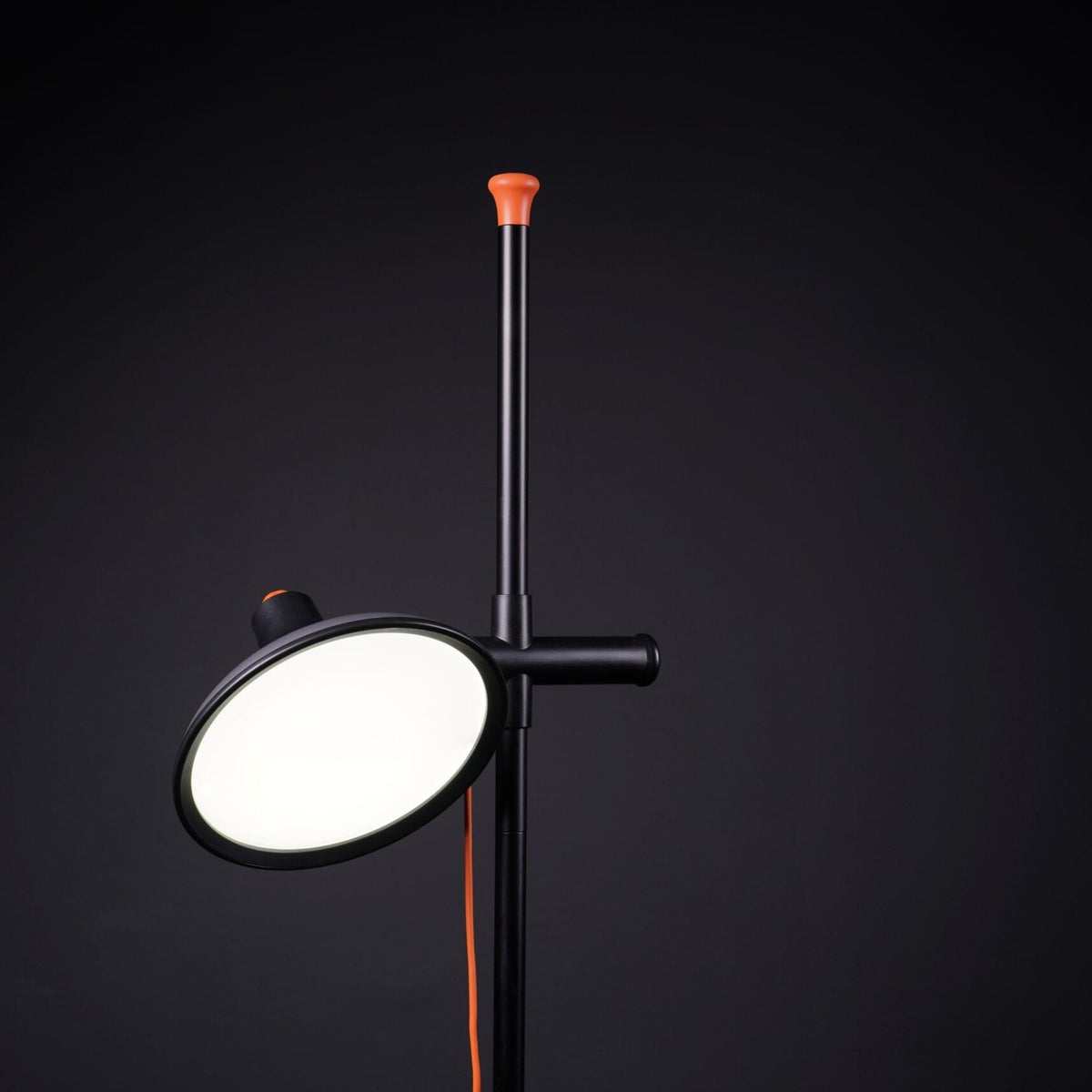 Daylight Artist Studio Floor Lamp