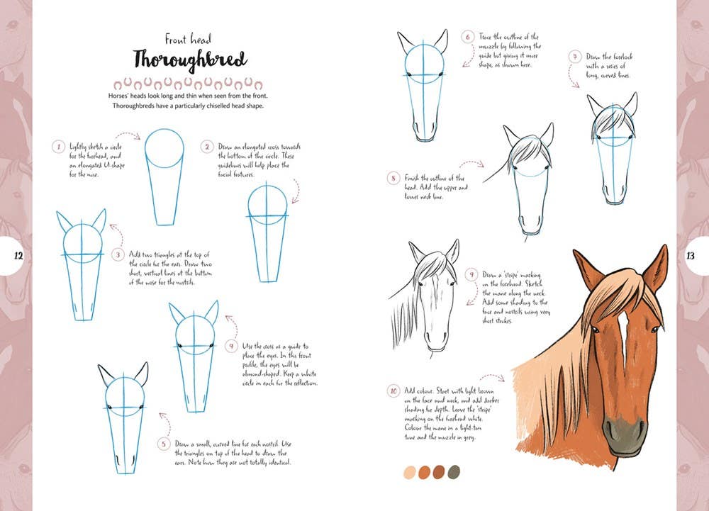 10 Step Drawing Horses & Ponies Book