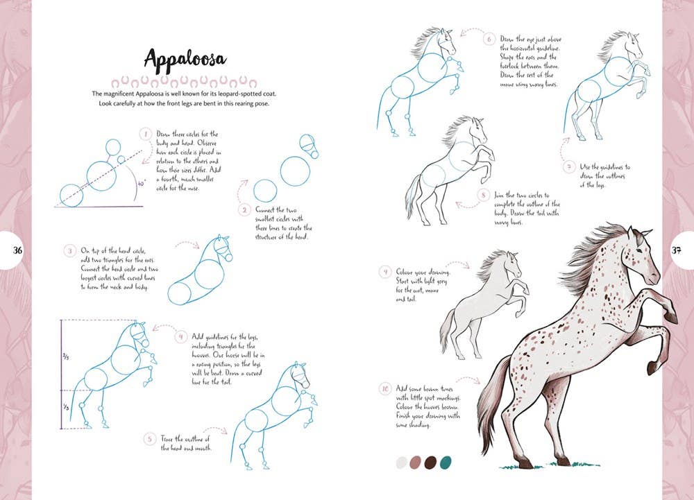 10 Step Drawing Horses & Ponies Book