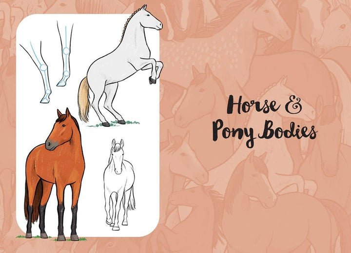 10 Step Drawing Horses & Ponies Book
