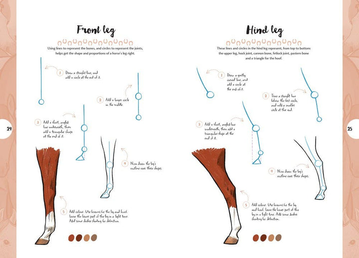 10 Step Drawing Horses & Ponies Book