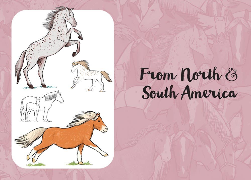 10 Step Drawing Horses & Ponies Book