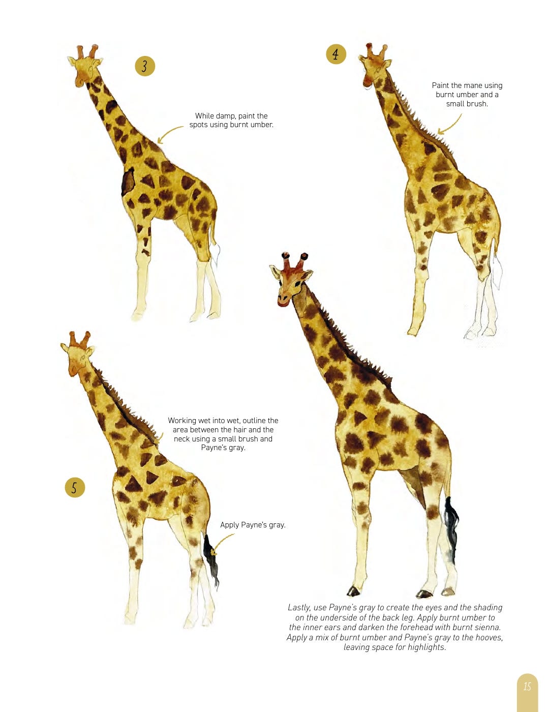 Paint 50 Watercolour Animals Book