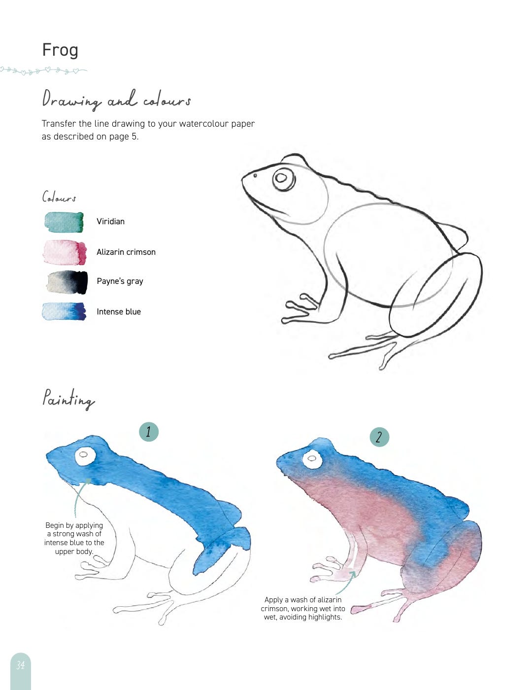 Paint 50 Watercolour Animals Book